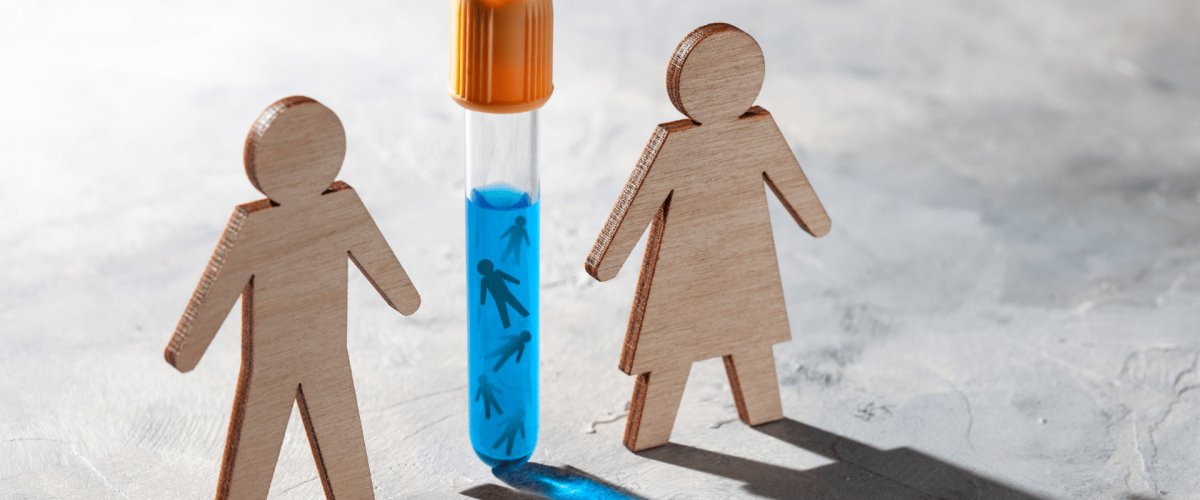 IVF and Marriage